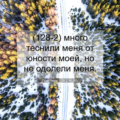 Picture 07 - Псалтирь 129:2 RUSV - (128-2) много теснили меня от - Bible Verse Picture