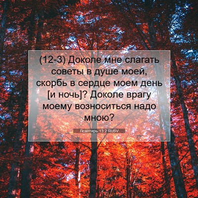 Picture 07 - Псалтирь 13:2 RUSV - (12-3) Доколе мне слагать - Bible Verse Picture