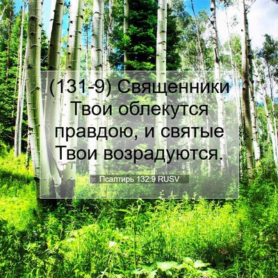 Picture 07 - Псалтирь 132:9 RUSV - (131-9) Священники Твои - Bible Verse Picture