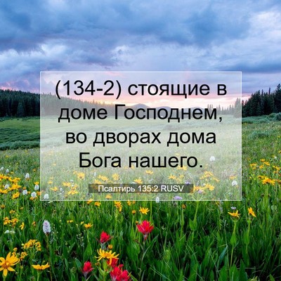 Picture 07 - Псалтирь 135:2 RUSV - (134-2) стоящие в доме - Bible Verse Picture