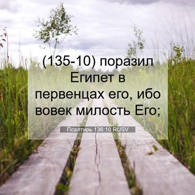 Picture 07 - Псалтирь 136:10 RUSV - (135-10) поразил Египет в - Bible Verse Picture