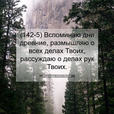 Picture 07 - Псалтирь 143:5 RUSV - (142-5) Вспоминаю дни древние, - Bible Verse Picture