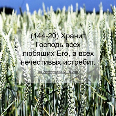 Picture 07 - Псалтирь 145:20 RUSV - (144-20) Хранит Господь всех - Bible Verse Picture