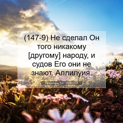 Picture 07 - Псалтирь 147:20 RUSV - (147-9) Не сделал Он того - Bible Verse Picture