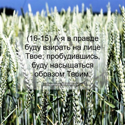 Picture 07 - Псалтирь 17:15 RUSV - (16-15) А я в правде буду - Bible Verse Picture
