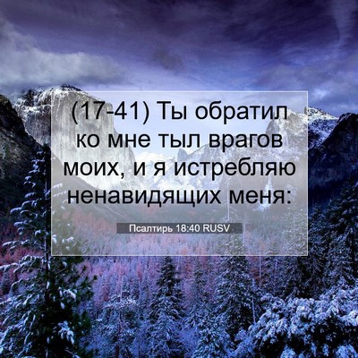 Picture 07 - Псалтирь 18:40 RUSV - (17-41) Ты обратил ко мне тыл - Bible Verse Picture