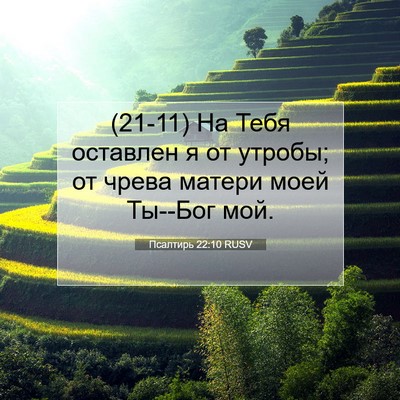 Picture 07 - Псалтирь 22:10 RUSV - (21-11) На Тебя оставлен я от - Bible Verse Picture