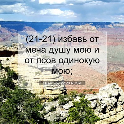Picture 07 - Псалтирь 22:20 RUSV - (21-21) избавь от меча душу - Bible Verse Picture