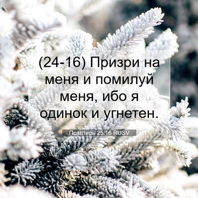 Picture 07 - Псалтирь 25:16 RUSV - (24-16) Призри на меня и - Bible Verse Picture
