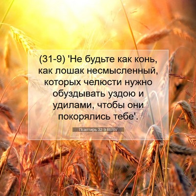 Picture 07 - Псалтирь 32:9 RUSV - (31-9) 'Не будьте как конь, как - Bible Verse Picture