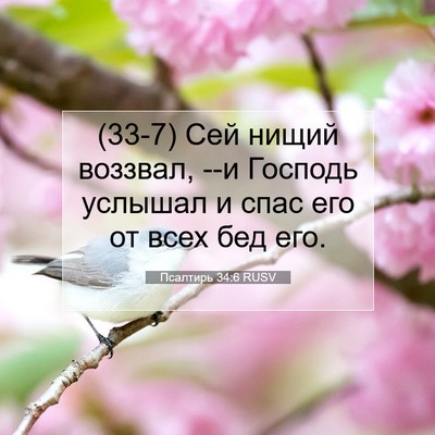 Picture 07 - Псалтирь 34:6 RUSV - (33-7) Сей нищий воззвал, --и - Bible Verse Picture