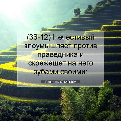 Picture 07 - Псалтирь 37:12 RUSV - (36-12) Нечестивый - Bible Verse Picture