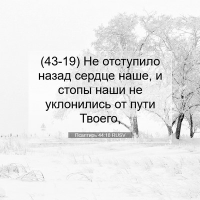 Picture 07 - Псалтирь 44:18 RUSV - (43-19) Не отступило назад - Bible Verse Picture