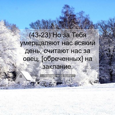 Picture 07 - Псалтирь 44:22 RUSV - (43-23) Но за Тебя умерщвляют - Bible Verse Picture