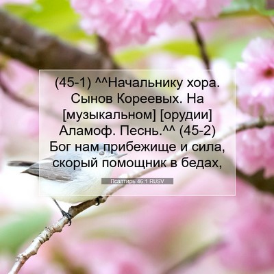 Picture 07 - Псалтирь 46:1 RUSV - (45-1) ^^Начальнику хора. - Bible Verse Picture
