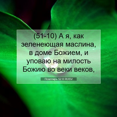 Picture 07 - Псалтирь 52:8 RUSV - (51-10) А я, как зеленеющая - Bible Verse Picture