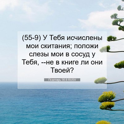 Picture 07 - Псалтирь 56:8 RUSV - (55-9) У Тебя исчислены мои - Bible Verse Picture