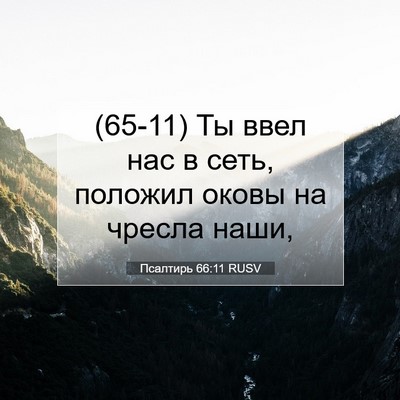 Picture 07 - Псалтирь 66:11 RUSV - (65-11) Ты ввел нас в сеть, - Bible Verse Picture