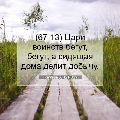 Picture 07 - Псалтирь 68:12 RUSV - (67-13) Цари воинств бегут, - Bible Verse Picture