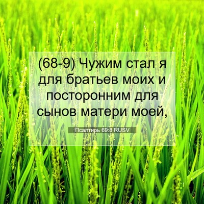 Picture 07 - Псалтирь 69:8 RUSV - (68-9) Чужим стал я для - Bible Verse Picture