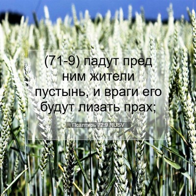 Picture 07 - Псалтирь 72:9 RUSV - (71-9) падут пред ним жители - Bible Verse Picture