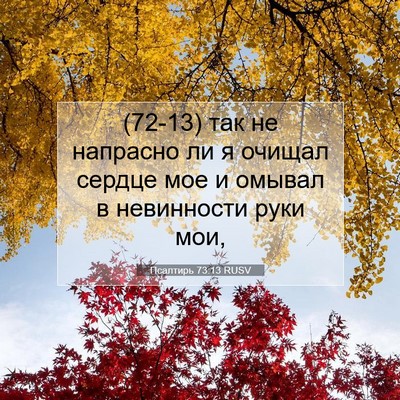 Picture 07 - Псалтирь 73:13 RUSV - (72-13) так не напрасно ли я - Bible Verse Picture