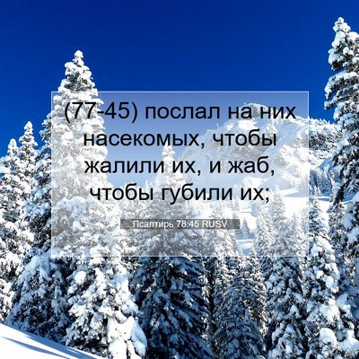 Picture 07 - Псалтирь 78:45 RUSV - (77-45) послал на них - Bible Verse Picture