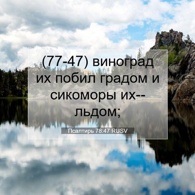Picture 07 - Псалтирь 78:47 RUSV - (77-47) виноград их побил - Bible Verse Picture