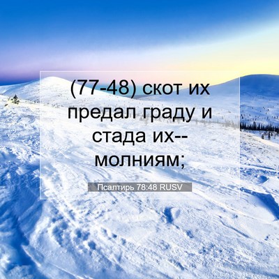 Picture 07 - Псалтирь 78:48 RUSV - (77-48) скот их предал граду и - Bible Verse Picture