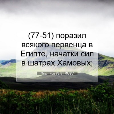 Picture 07 - Псалтирь 78:51 RUSV - (77-51) поразил всякого - Bible Verse Picture