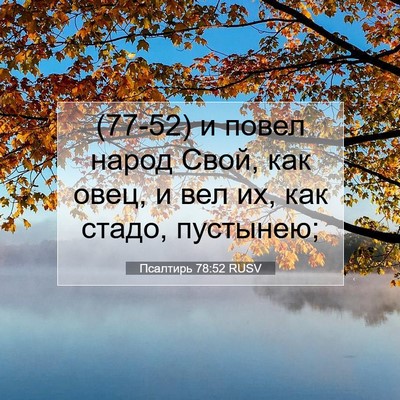 Picture 07 - Псалтирь 78:52 RUSV - (77-52) и повел народ Свой, как - Bible Verse Picture