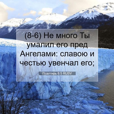 Picture 07 - Псалтирь 8:5 RUSV - (8-6) Не много Ты умалил его - Bible Verse Picture