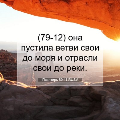 Picture 07 - Псалтирь 80:11 RUSV - (79-12) она пустила ветви свои - Bible Verse Picture