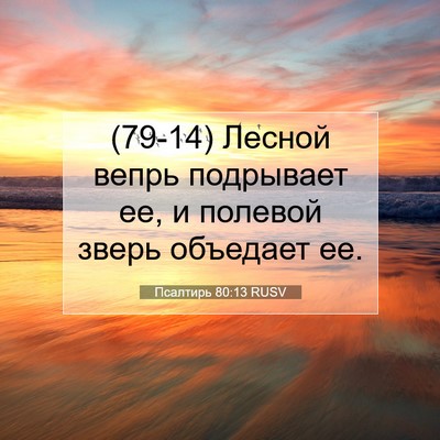 Picture 07 - Псалтирь 80:13 RUSV - (79-14) Лесной вепрь - Bible Verse Picture