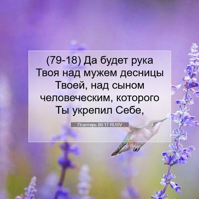 Picture 07 - Псалтирь 80:17 RUSV - (79-18) Да будет рука Твоя над - Bible Verse Picture