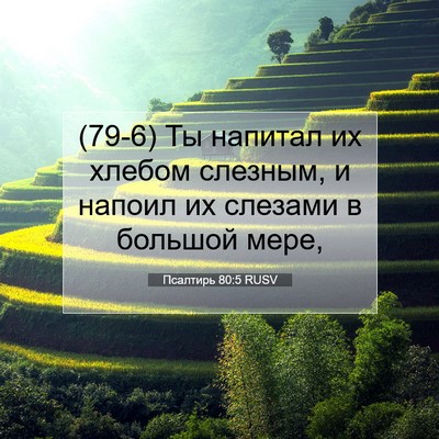 Picture 07 - Псалтирь 80:5 RUSV - (79-6) Ты напитал их хлебом - Bible Verse Picture