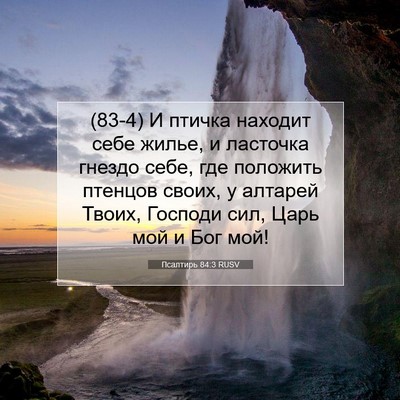 Picture 07 - Псалтирь 84:3 RUSV - (83-4) И птичка находит себе - Bible Verse Picture