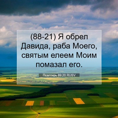 Picture 07 - Псалтирь 89:20 RUSV - (88-21) Я обрел Давида, раба - Bible Verse Picture