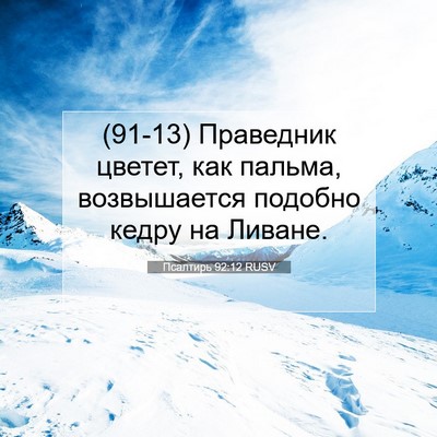 Picture 07 - Псалтирь 92:12 RUSV - (91-13) Праведник цветет, как - Bible Verse Picture