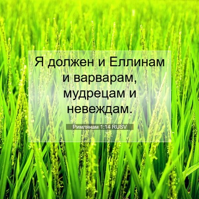 Picture 07 - Римлянам 1:14 RUSV - Я должен и Еллинам и - Bible Verse Picture