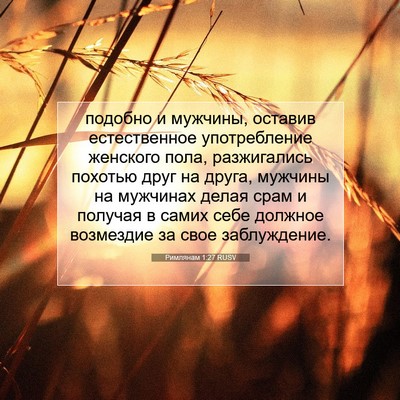Picture 07 - Римлянам 1:27 RUSV - подобно и мужчины, оставив - Bible Verse Picture