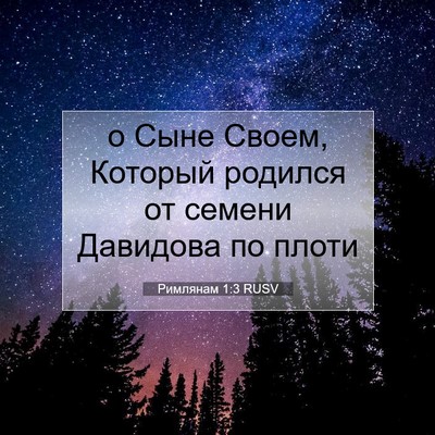 Picture 07 - Римлянам 1:3 RUSV - о Сыне Своем, Который - Bible Verse Picture