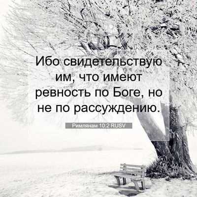 Picture 07 - Римлянам 10:2 RUSV - Ибо свидетельствую им, что - Bible Verse Picture