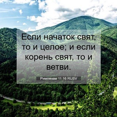 Picture 07 - Римлянам 11:16 RUSV - Если начаток свят, то и - Bible Verse Picture