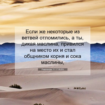 Picture 07 - Римлянам 11:17 RUSV - Если же некоторые из - Bible Verse Picture