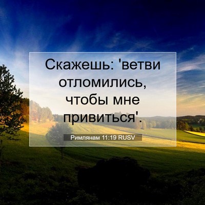 Picture 07 - Римлянам 11:19 RUSV - Скажешь: 'ветви отломились, - Bible Verse Picture