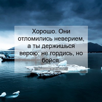 Picture 07 - Римлянам 11:20 RUSV - Хорошо. Они отломились - Bible Verse Picture