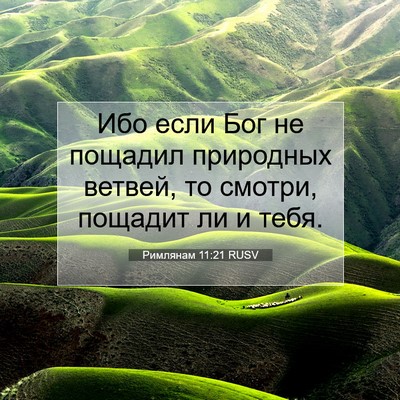 Picture 07 - Римлянам 11:21 RUSV - Ибо если Бог не пощадил - Bible Verse Picture