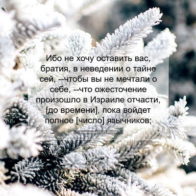 Picture 07 - Римлянам 11:25 RUSV - Ибо не хочу оставить вас, - Bible Verse Picture