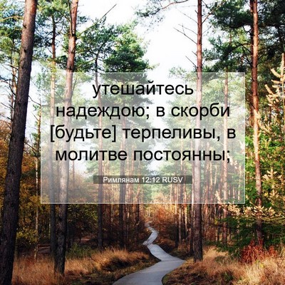 Picture 07 - Римлянам 12:12 RUSV - утешайтесь надеждою; в - Bible Verse Picture